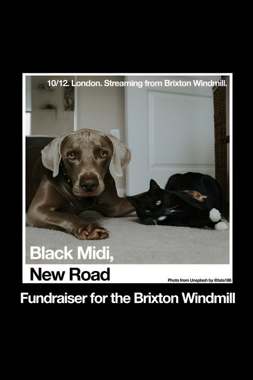 Black Midi, New Road: 'Live at The Windmill, Brixton.' (2020) poster