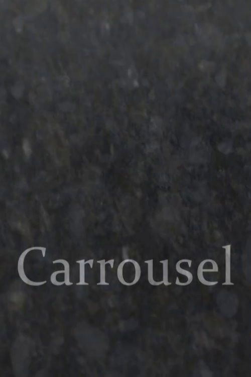 Carrousel (2012) poster
