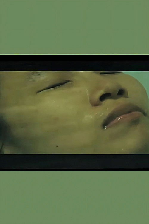 rain's jade derma (2013) poster