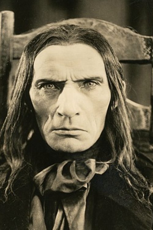 The Black Panther (1921) poster