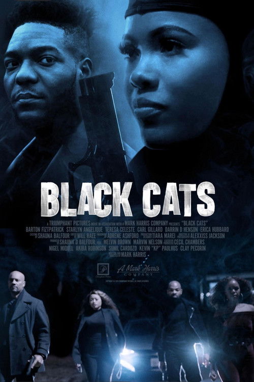 Black Cats (2025) poster