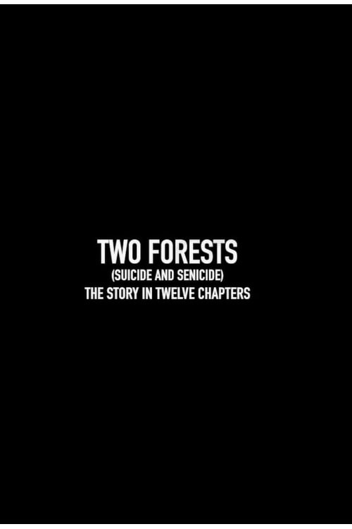 Two Forests (2025) poster