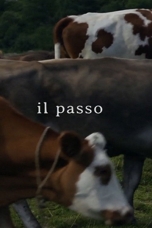 Il passo (2016) poster