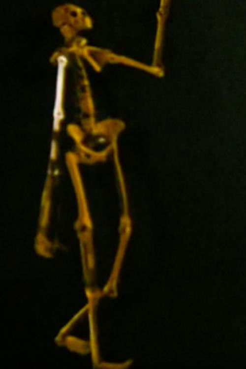 Spiral (1987) poster