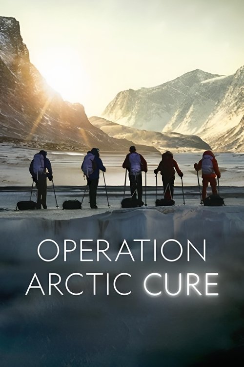Operation Arctic Cure (2024) poster