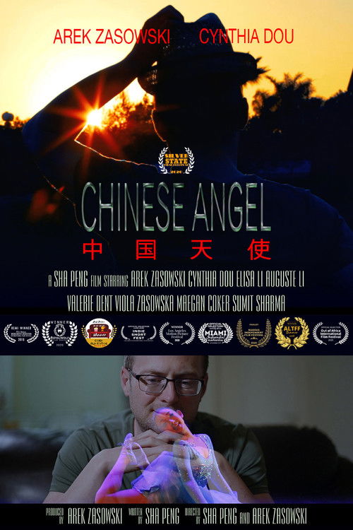 Chinese Angel (2017) poster
