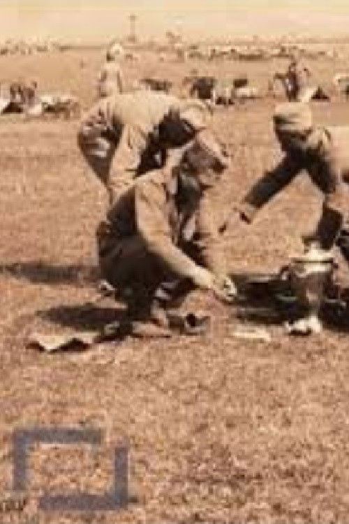 12th Cavalry Division (1913) poster