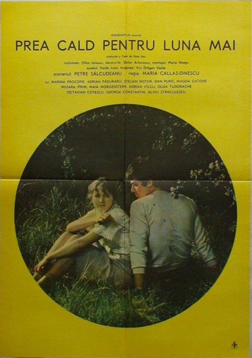 Prea cald pentru luna mai (1984) poster