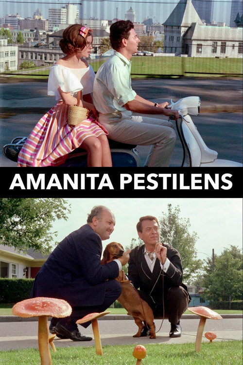 Amanita Pestilens (1963) poster