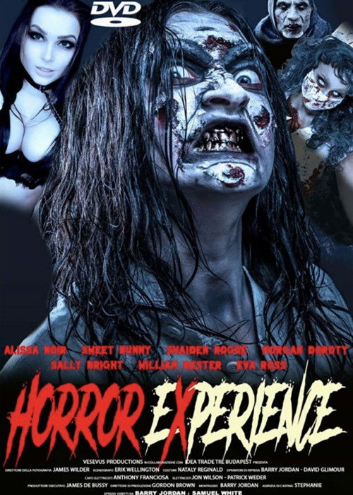 Horror Experience (2023) poster