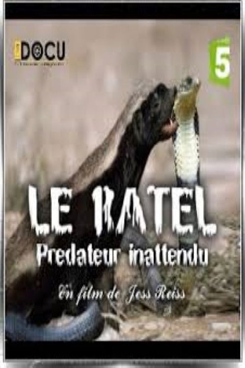 Le ratel prédateur inattendu (2017) poster