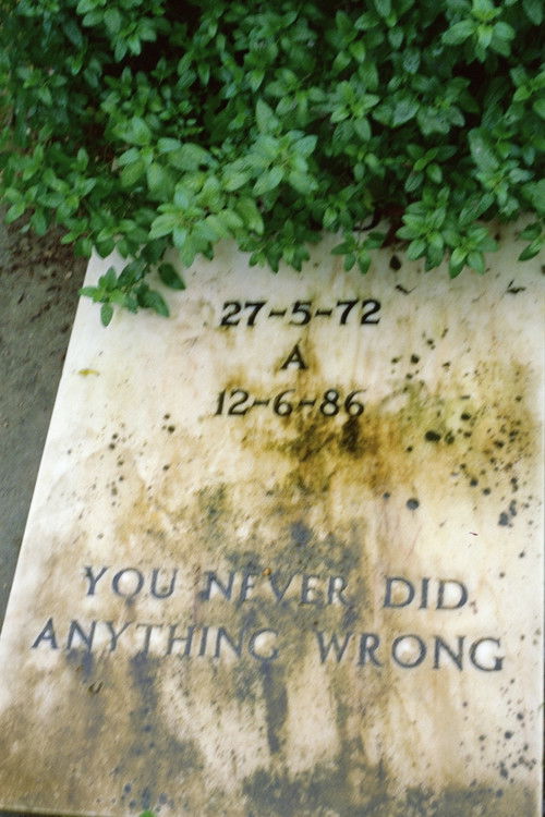 You never did anything wrong (2024) poster