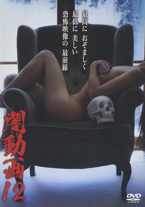 Tokyo Videos of Horror 12 (2015) poster