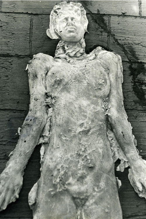 Conflict (1975) poster