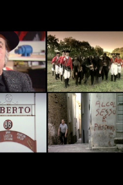 Legovideo in BVU poster