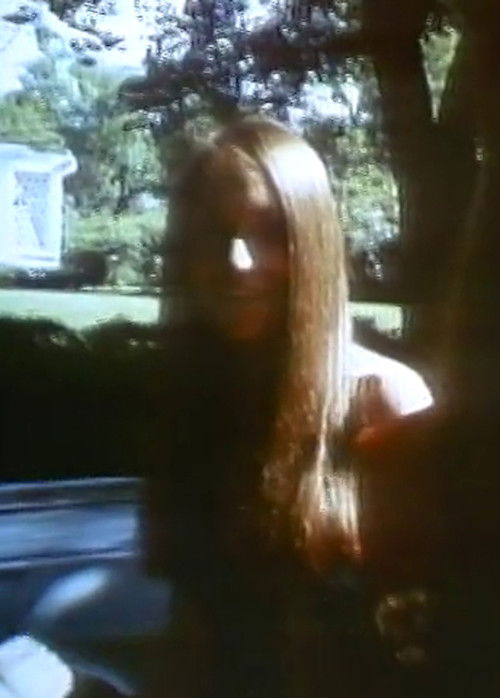 Pets on Parade (1971) poster