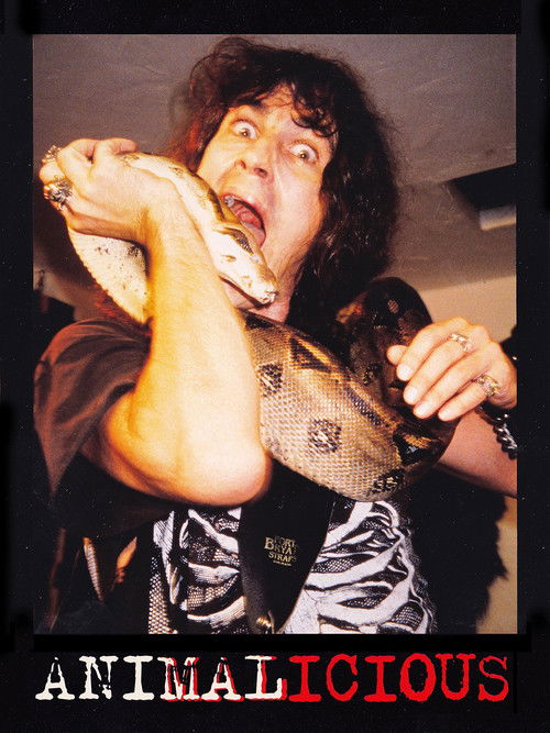 Animalicious (1999) poster