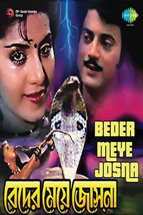 Beder Meye Josna (1991) poster