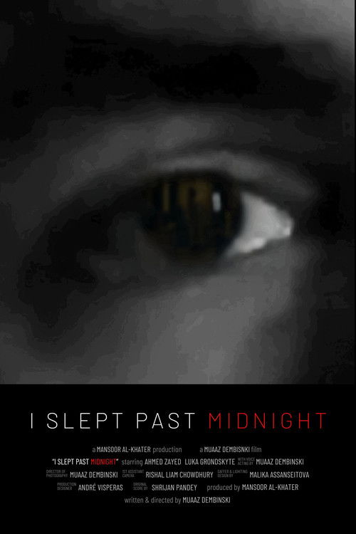 I Slept Past Midnight (2024) poster
