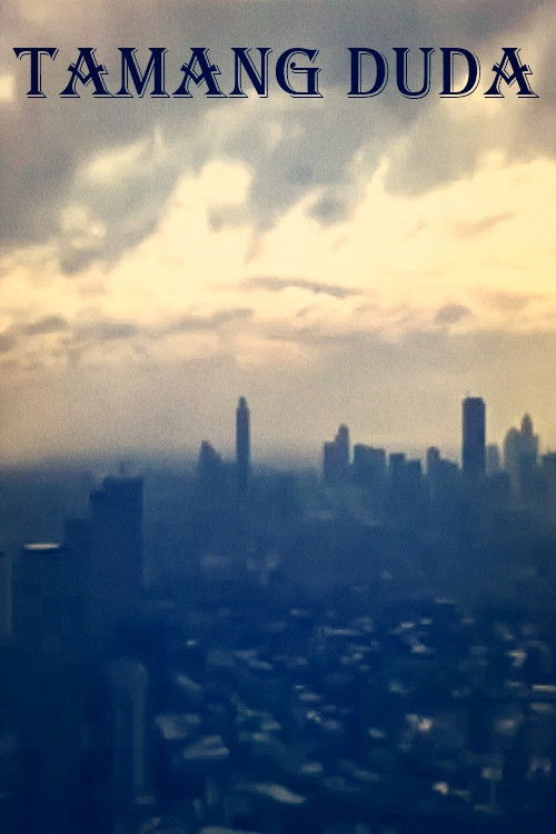 Tamang Duda (2017) poster