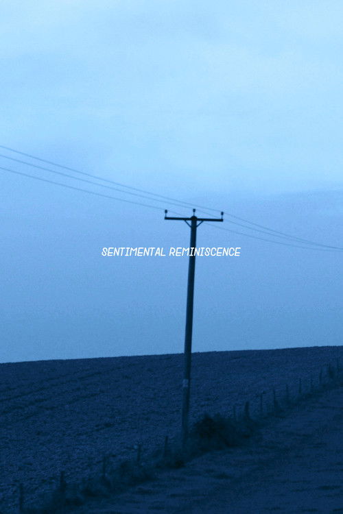 Sentimental Reminiscence (2017) poster