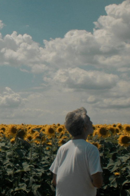 Without (2022) poster