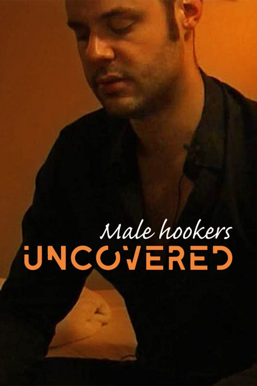 Male Hookers Uncovered (2011) poster