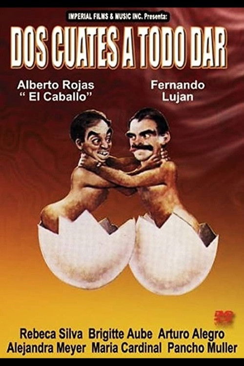 Dos cuates a todo dar (1990) poster
