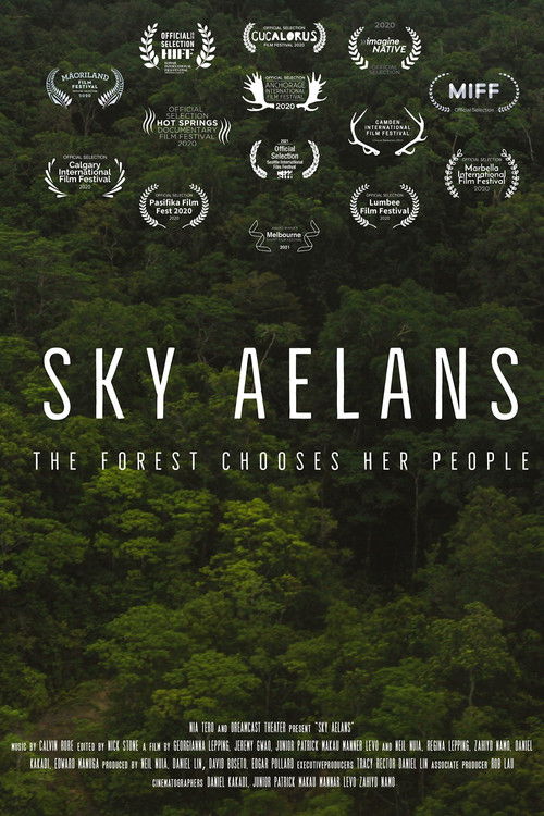 Sky Aelans (2021) poster