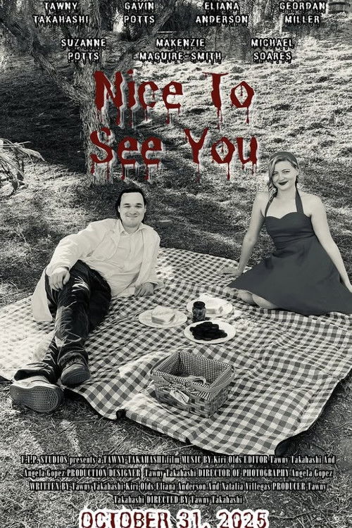 Nice to See You (2025) poster