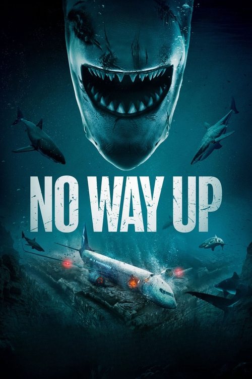 No Way Up (2024) poster