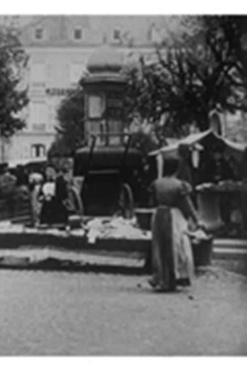 Pau : la place du marché (1899) poster