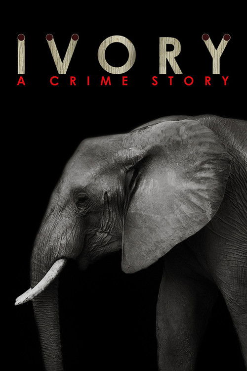 Ivory. A Crime Story (2016) poster