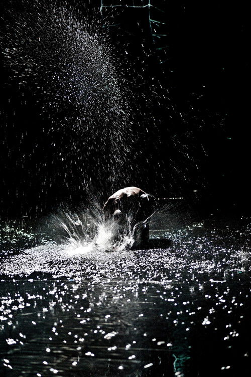 Hamlet (2010) poster