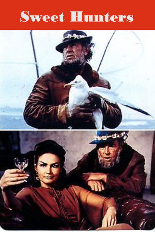 Sweet Hunters (1970) poster