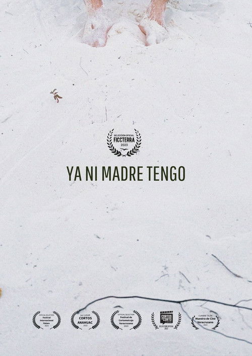 Ya Ni Madre Tengo poster