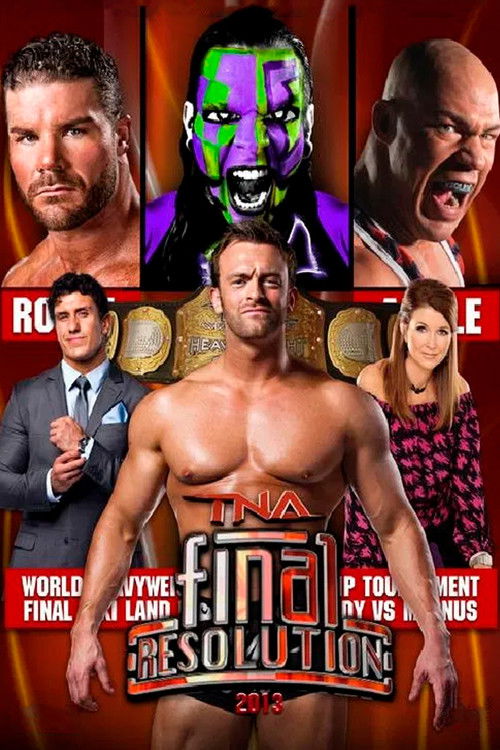 TNA Final Resolution 2013 (2013) poster