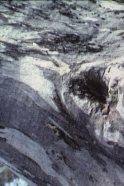 Twisty (2005) poster