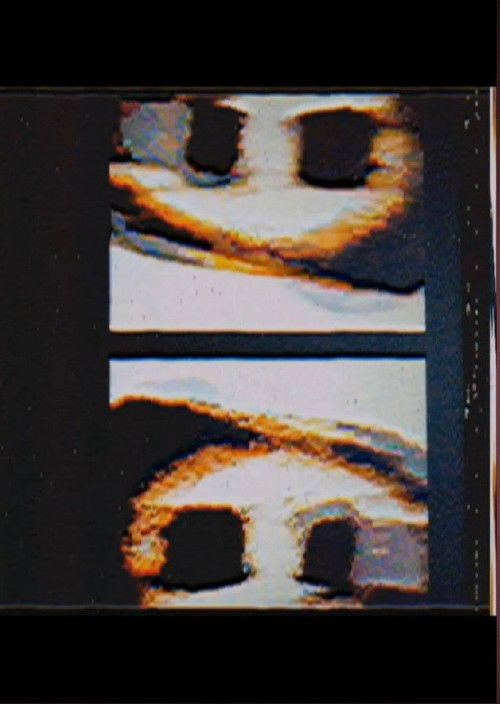 As The Gaping Wound Bled (2022) poster