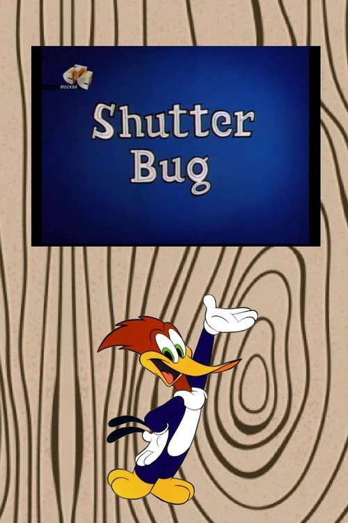 Shutter Bug (1963) poster