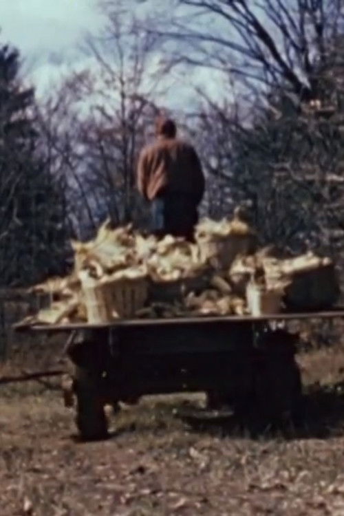 The Longhouse People (1951) poster