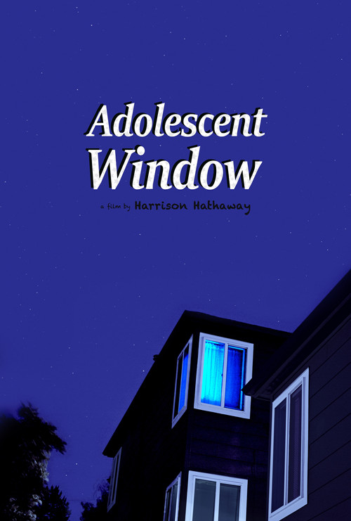 Adolescent Window (2025) poster