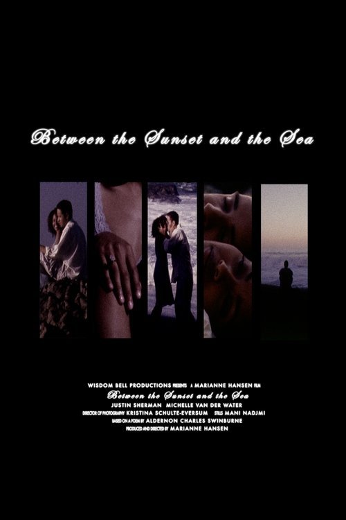 Between the Sunset and the Sea (2007) poster