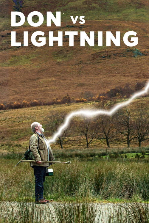 Don vs Lightning (2021) poster