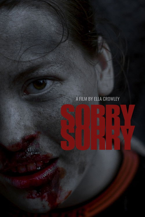 Sorry Sorry (2024) poster