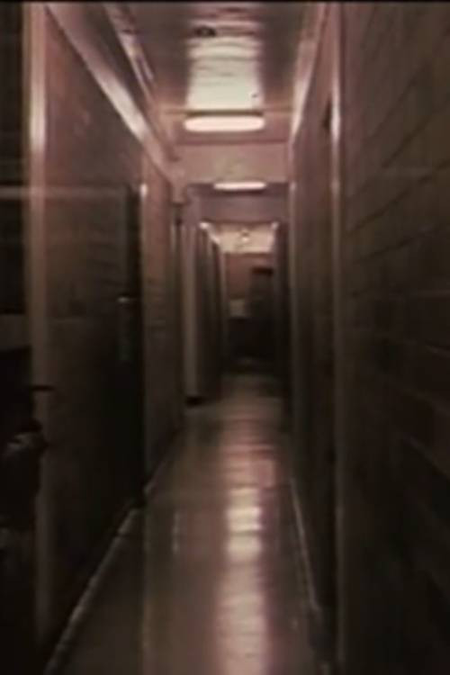 Groping (1980) poster