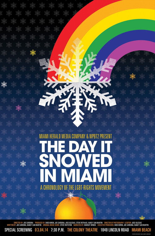 The Day it Snowed in Miami (2014) poster