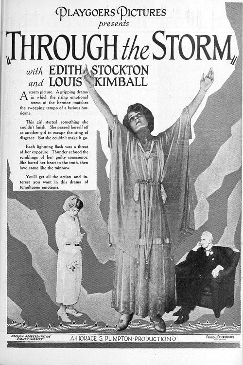 Through the Storm (1922) poster