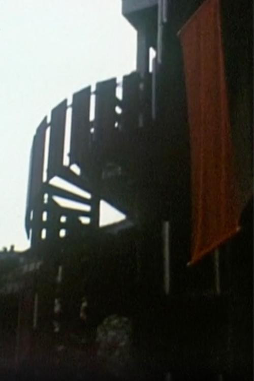 Expo Val '90 (1990) poster