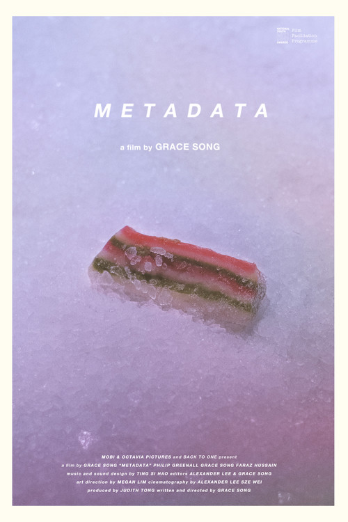 Metadata (2021) poster